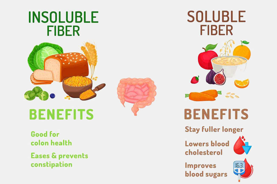 Soluble Fiber